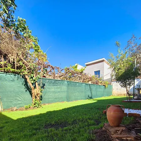 Faleza Nord 1 度假居